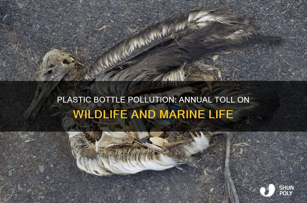 how many animals are killed by plastic bottles each year