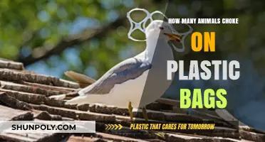 Plastic Bag Peril: How Many Animals Choke Annually?