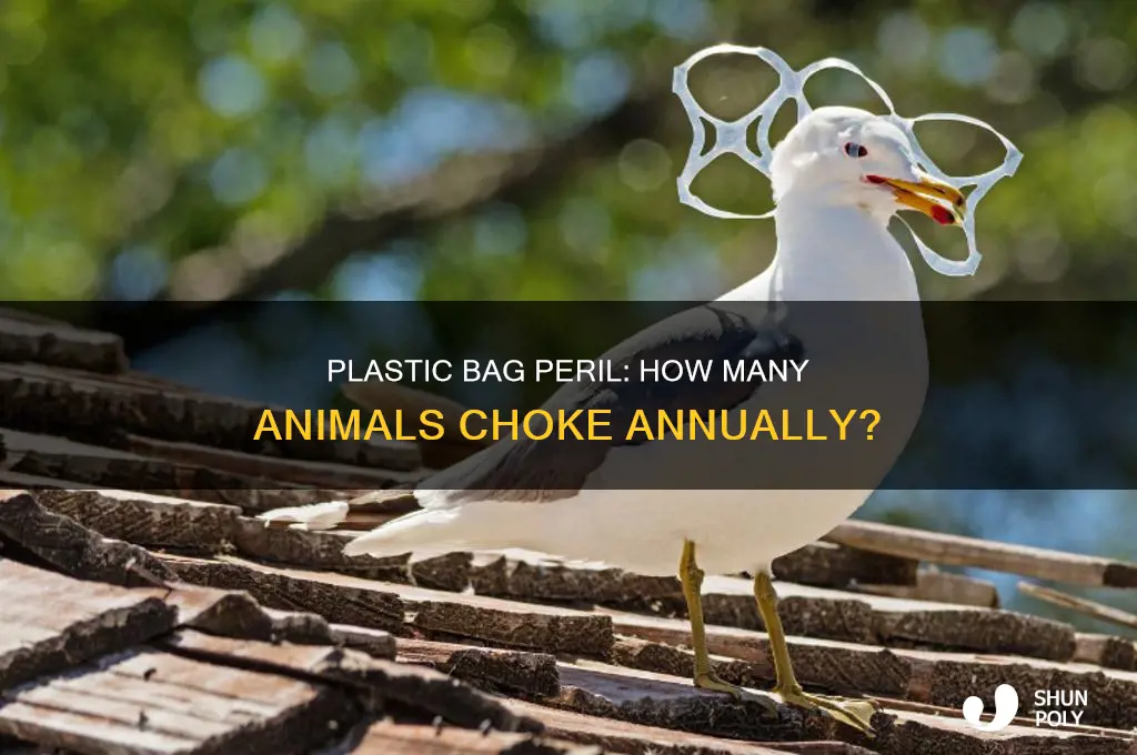 how many animals choke on plastic bags