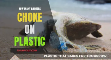The Dark Truth of Plastic Pollution