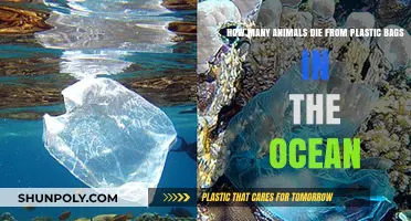 Ocean's Silent Crisis: Plastic Bags and Marine Life Mortality
