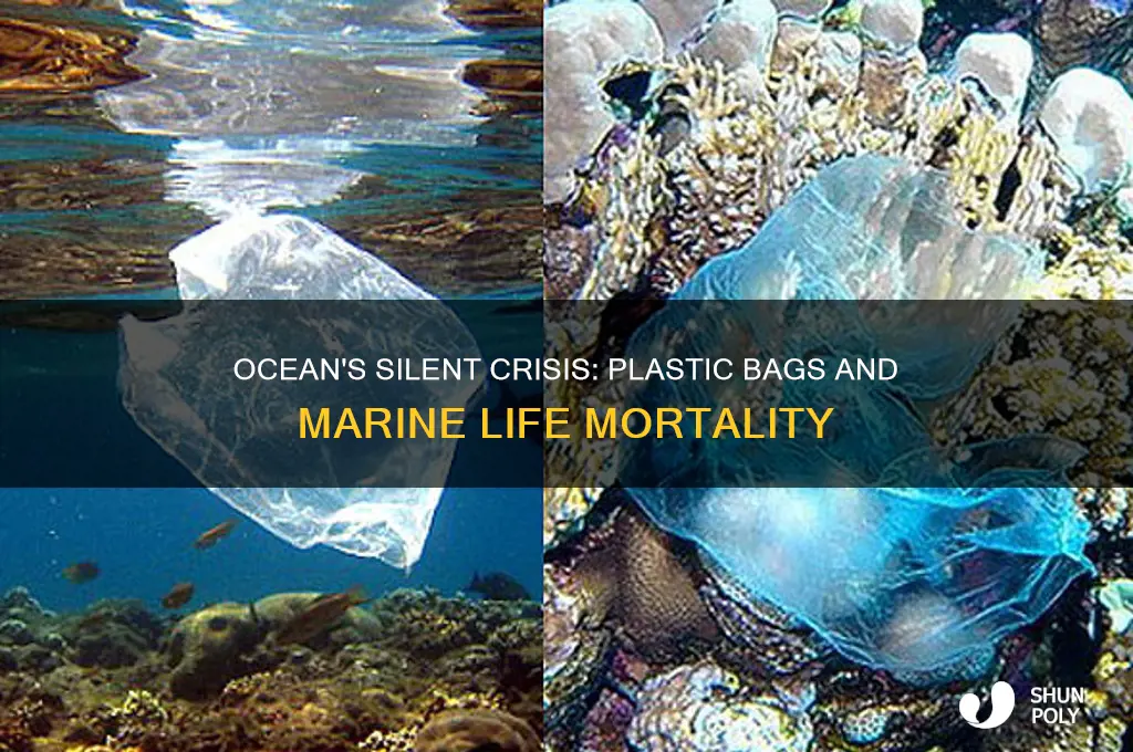 how many animals die from plastic bags in the ocean