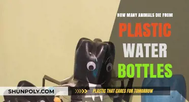 Plastic Water Bottles' Deadly Impact: Animals at Risk