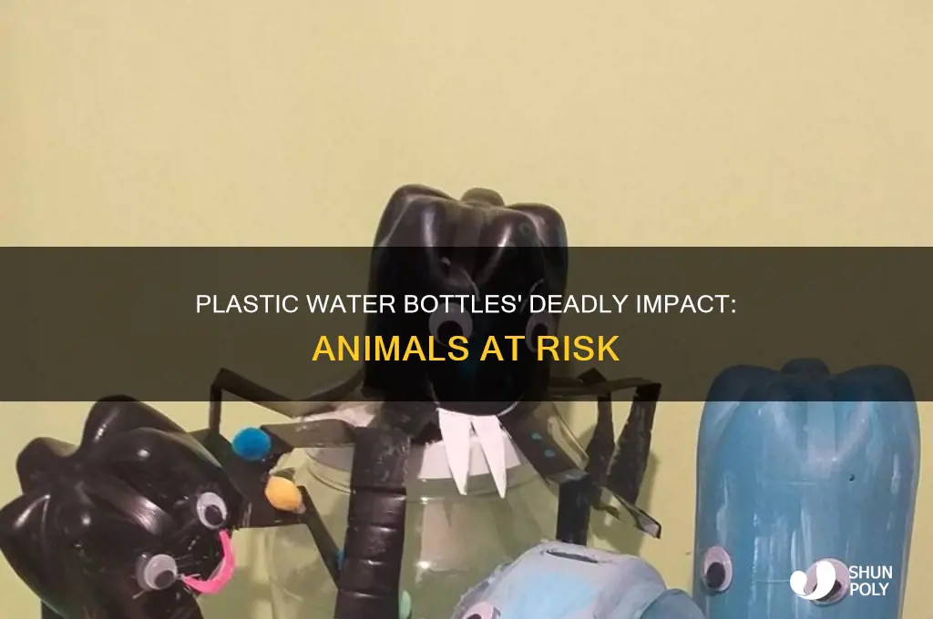 how many animals die from plastic water bottles