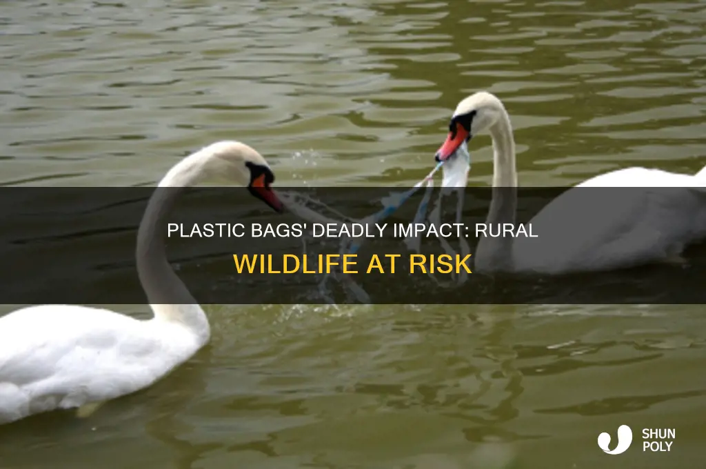 how many animals do plastic bags kill in rural areas