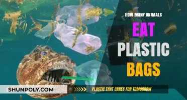 Animals Eating Plastic Bags: A Growing Environmental Crisis