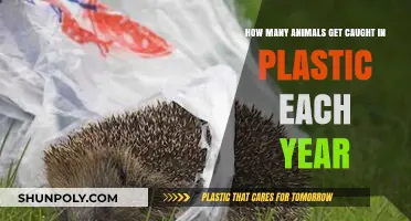 Plastic's Deadly Trap: Annual Toll on Wildlife Caught in Waste