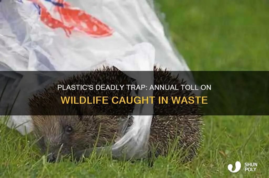 how many animals get caught in plastic each year