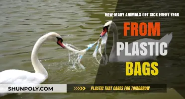 Plastic Bag Pollution: Annual Toll on Sick Wildlife Revealed