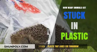 Plastic Pollution Crisis: Countless Animals Trapped in Deadly Waste