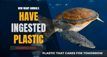 Plastic Ingestion: Animals Affected and Counting