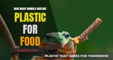 Plastic Pollution: Animals' Deadly Food Mistake
