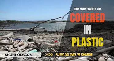 Plastic Pollution: Beaches Covered in Trash