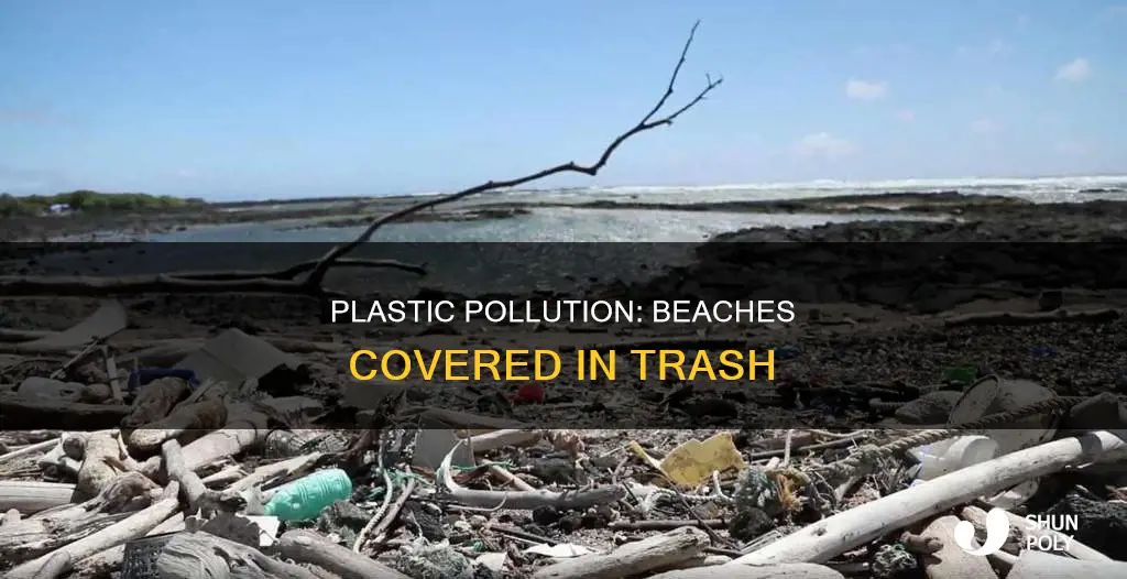 how many beaches are covered in plastic