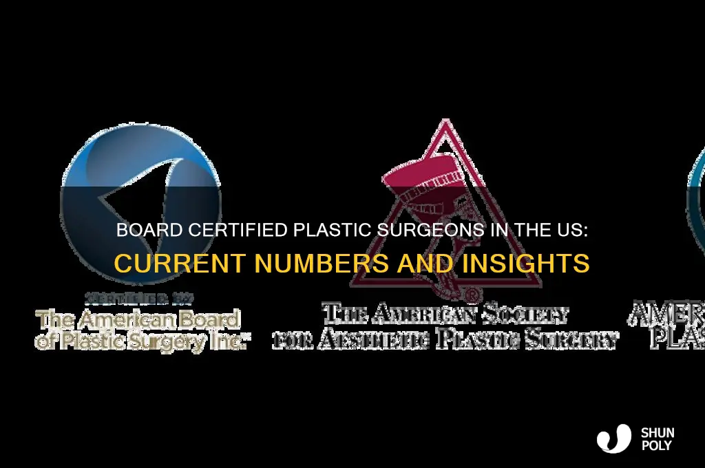 how many board certified plastic surgeons in the us