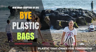 Bye Bye Plastic Bags: Unveiling the Chapters of Their Global Impact