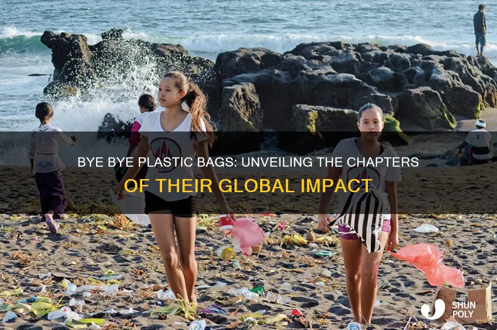 how many chapters of bye bye plastic bags