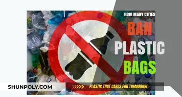 Global Shift: Cities Banning Plastic Bags for a Greener Future