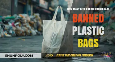 California's Plastic Bag Bans: Which Cities Have Gone Green?