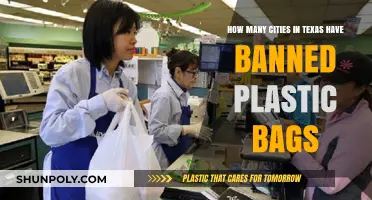 Texas Cities Leading the Charge: Plastic Bag Bans Across the State