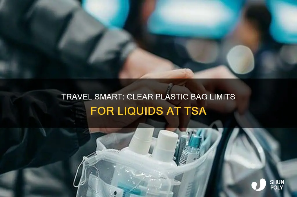 how many clear plastic bags for liquids tse