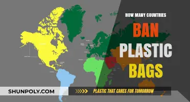 Global Plastic Bag Bans: Which Countries Are Leading the Charge?