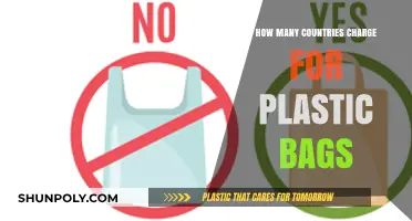 Global Plastic Bag Fees: Which Countries Charge for Single-Use Bags?