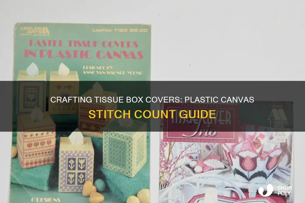 how many counts to make tissue box plastic canvas