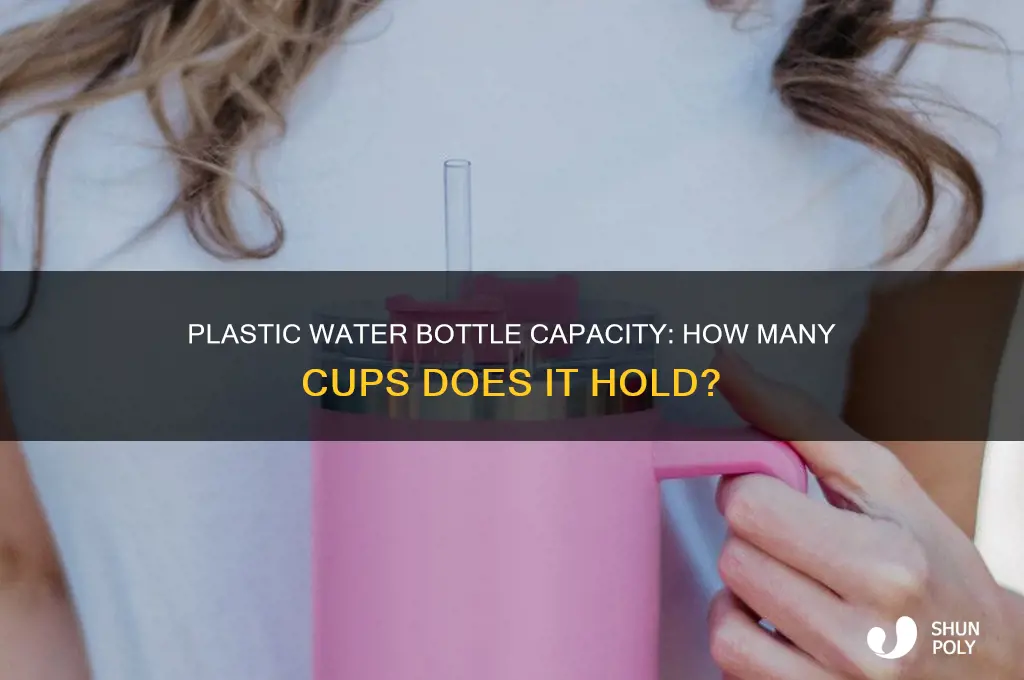 how many cups are in a plastic water bottle