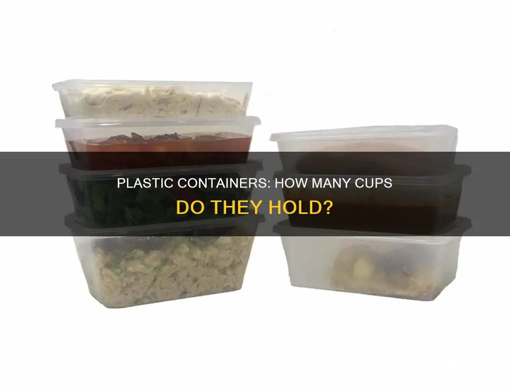 how many cups in round plastic container chinese