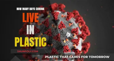 Plastic and COVID-19: How Long Does the Virus Survive?