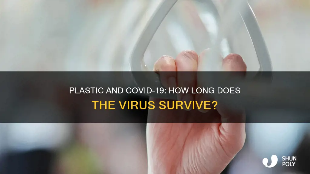 how many days corona live in plastic