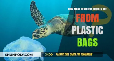 Plastic Bags: A Deadly Threat to Turtles Worldwide