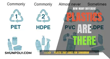 Exploring the Diversity of Plastics: A Complex World