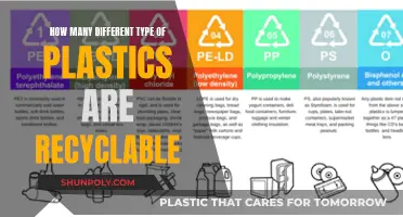 Unraveling the Recycling Mystery: Exploring the Many Faces of Plastic