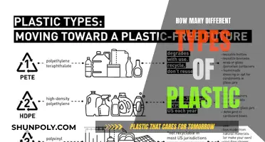 The Many Faces of Plastic: Exploring Its Diverse Types