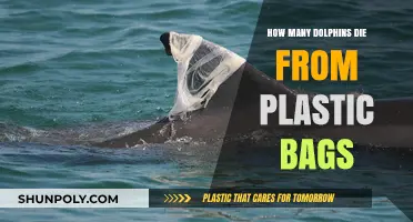 Plastic Bags' Deadly Impact: Dolphin Deaths and Ocean Pollution Crisis