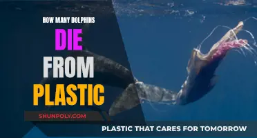 Dolphin Deaths: Plastic's Horrific Toll