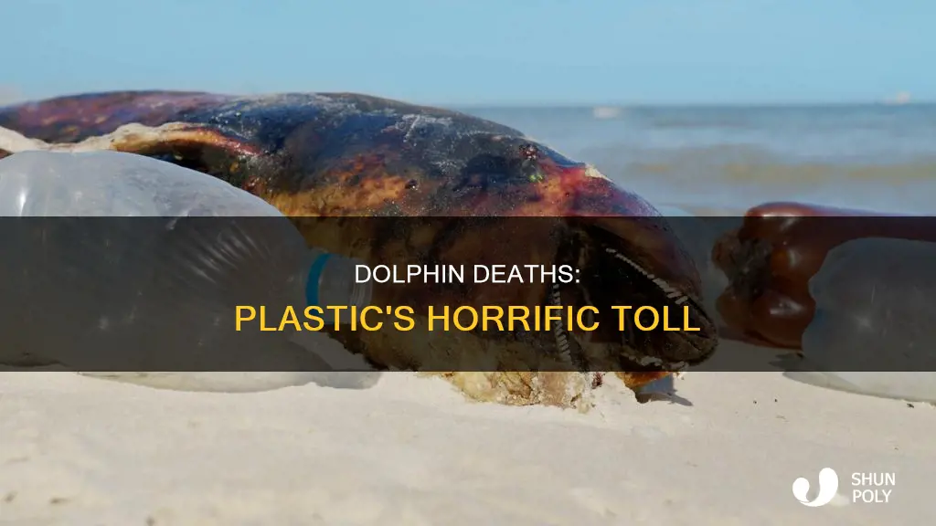 how many dolphins die from plastic