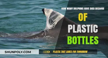Plastic Bottles' Deadly Impact: Rising Dolphin Deaths and Ocean Pollution