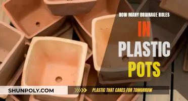 Drainage Holes: Plastic Pots' Essential Requirement