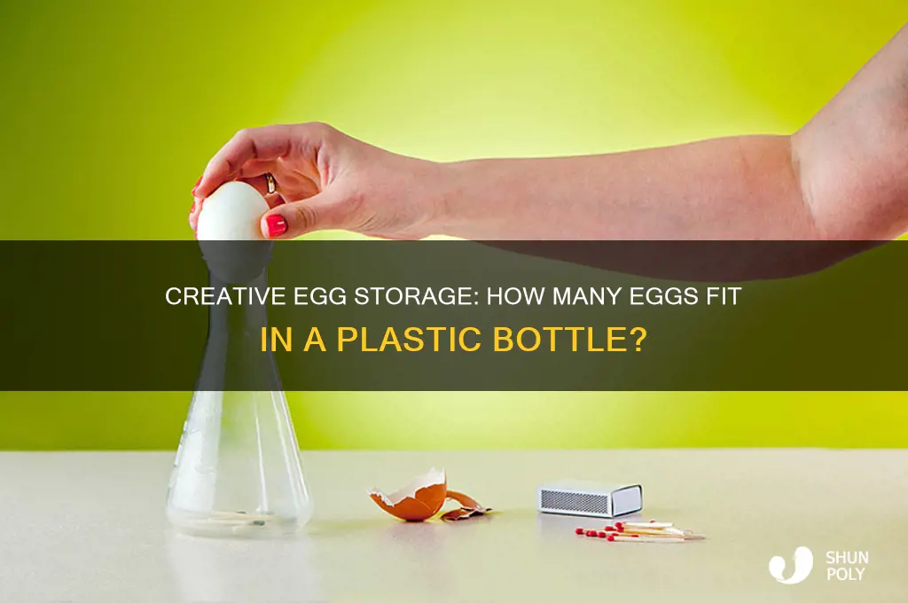 how many eggs fit in a plastic bottle