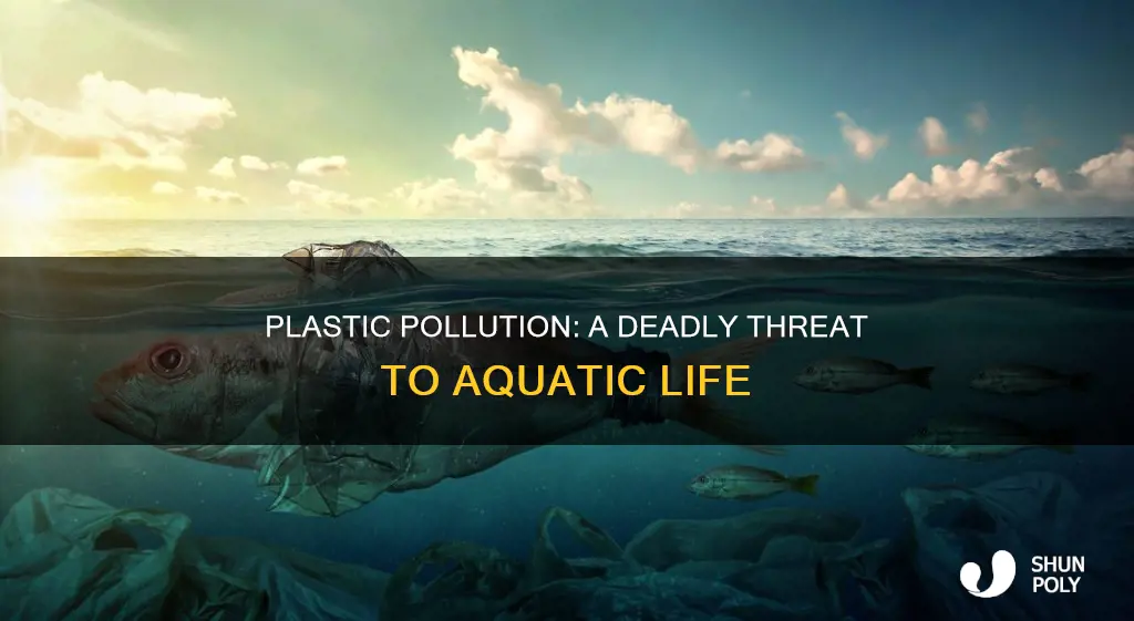 how many fish adie from plastic