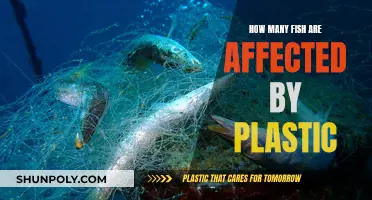 Plastic Impact: Fish at Risk