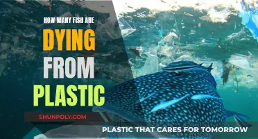 Plastic Pollution: A Deadly Threat to Our Fish