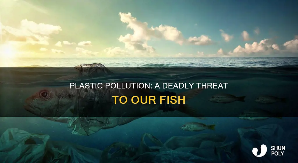 how many fish are dying from plastic