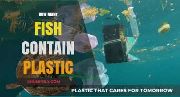 Plastic in Fish: A Worrying Trend