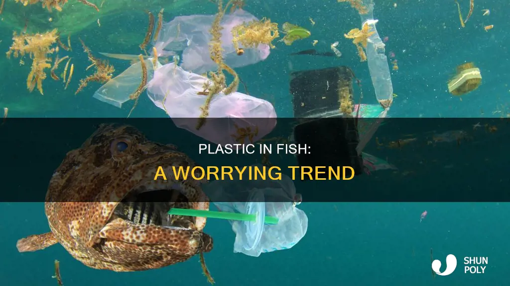 how many fish contain plastic