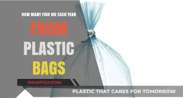 Plastic Bags' Deadly Impact: Annual Fish Mortality Rates Revealed