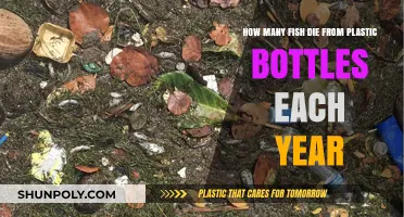 Plastic Bottles' Deadly Impact: Annual Fish Mortality Rates Revealed